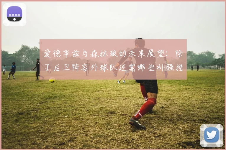 爱德华兹与森林狼的未来展望：除了后卫阵容外球队还需哪些补强措施